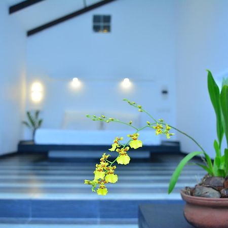 Midigama Holiday Inn Exterior foto